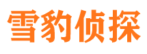 新邱寻人公司